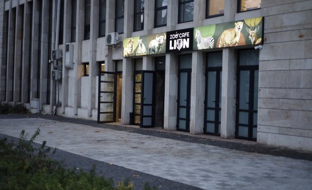 Да пиеш кафето си под погледа на странни и редки