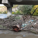 Обрасли брегове и непочистени речни корита - какво установи проверката на водоемите в Русенско?