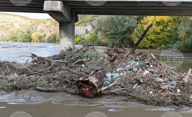 Обрасли брегове и непочистени речни корита - какво установи проверката на водоемите в Русенско?