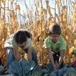 Как практическото учене помага на децата да разберат пътя на храната?