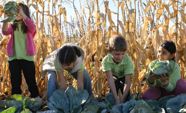 Фермата на Lidl превръща знанията от учебника в реален опит