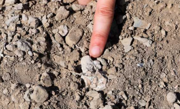 Екип от палеоантрополози смята че е разкрил произхода на т