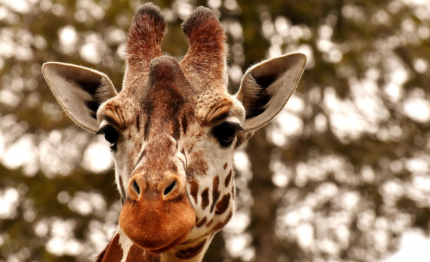 Правоприлагащи агенции от 134 страни иззеха рекордни количества незаконно продадени