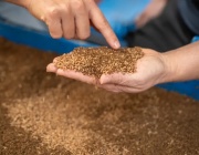 Ферма за мухи във Виена превръща хранителни отпадъци в ценни ресурси