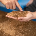 Ферма за мухи във Виена превръща хранителни отпадъци в ценни ресурси