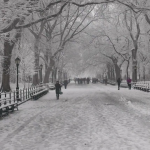 Първи сняг зарадва жителите на Ню Йорк