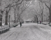 Първи сняг зарадва жителите на Ню Йорк