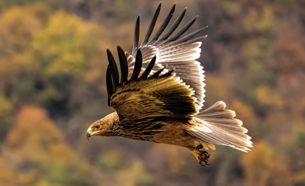 Електроразпределение Юг част от EVN като водещ партньор в сътрудничество