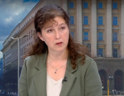 Ваня Нушева: Има над 750 сигнала за нарушения на изборния процес, от които 669 са за купуване на гласове