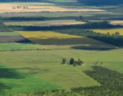 Откриха изгубена човешка популация в сърцето на Аржентина