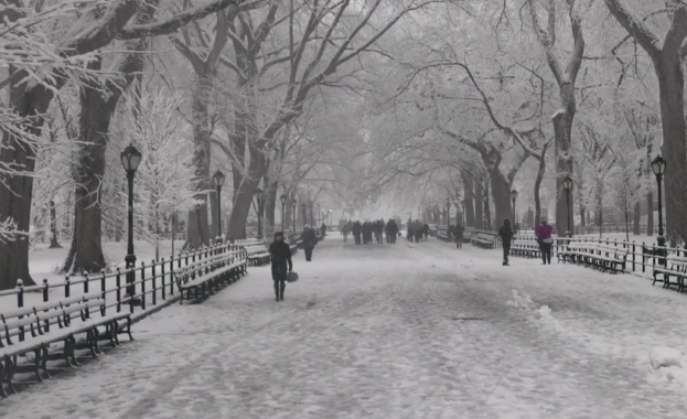 Първият сняг вече зарадва жителите на Ню Йорк Хората използваха