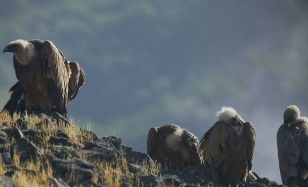 След упорита работа повече от 25 години у нас не