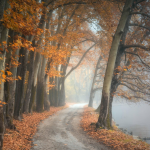 Този, който се страхува, че ще страда...