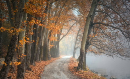 Този, който се страхува, че ще страда...