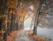 Този, който се страхува, че ще страда...