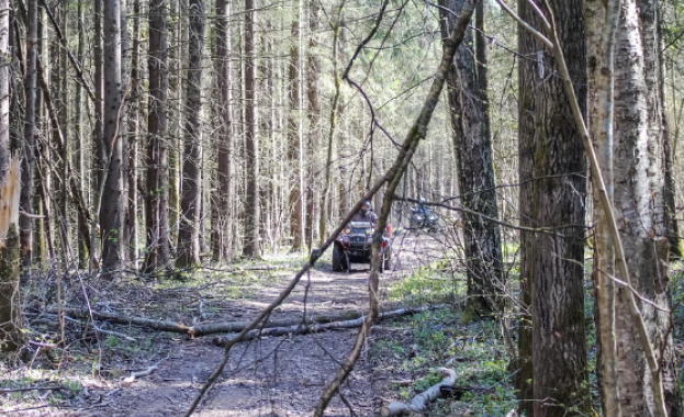 62 годишен жител на София е намерен мъртъв в гориста