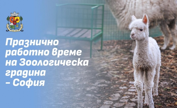 В дните около Коледа Зоологическата градина ще работи без почивен