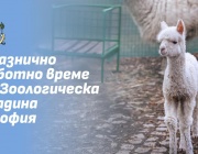 Зоологическа градина - София временно няма да посреща посетители от 1 до 4 януари 2026 г.