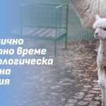Зоологическа градина - София временно няма да посреща посетители от 1 до 4 януари 2026 г.