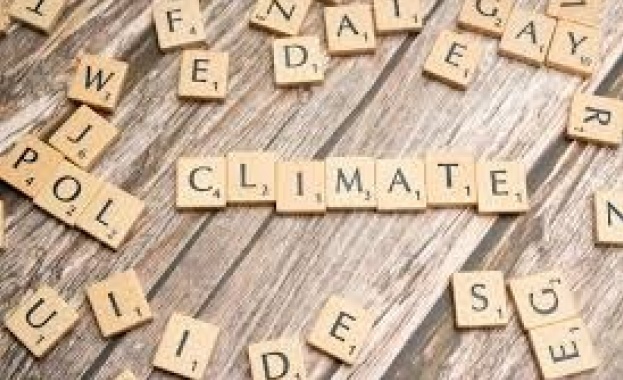 Уроците от 2025 г и ключовите стъпки към по прозрачна