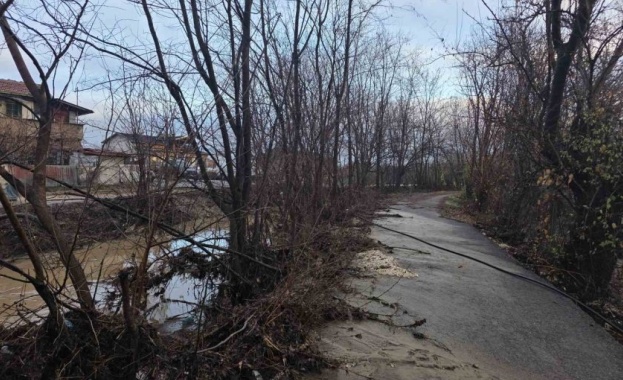 Наводнени бяха няколко приземни етажа на къщи дворове и един