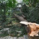Бурен вятър причини щети по сгради във Враца този следобед