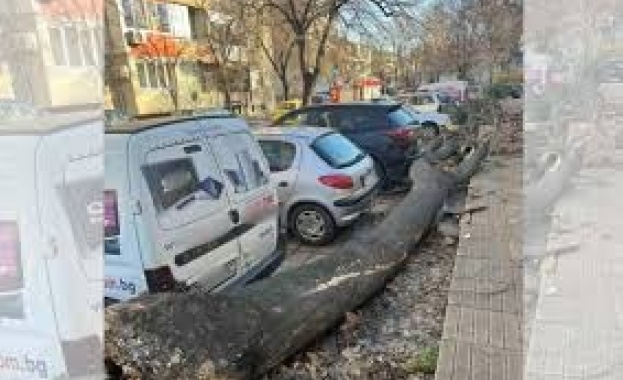 Силните пориви на вятъра в Пловдивска област вече причиниха материални