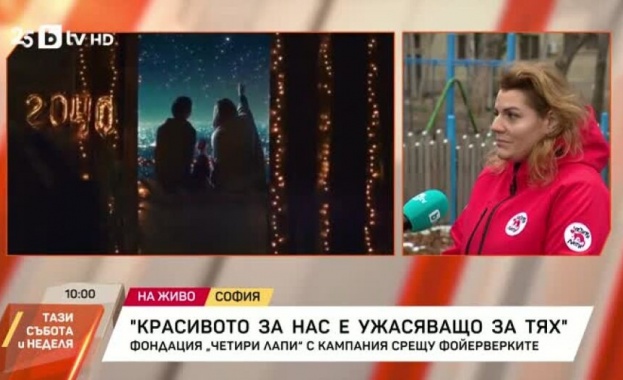 За поредна година фондация Четири лапи призовава празнувайте без фойерверки