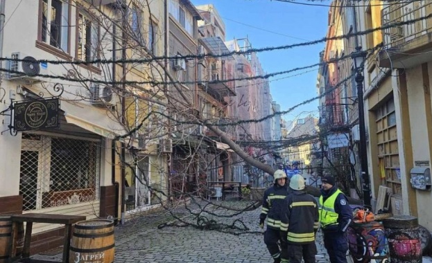 Ураганният вятър който достигна пориви до 100 км ч в