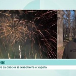 Експерти предупреждават: Пиратките застрашават животните