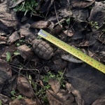 Специализиран екип от Сухопътните войски унищожи невзривена  ръчна граната, открита в Плевен