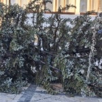 Бурните ветрове в няколко области нанесоха материални щети