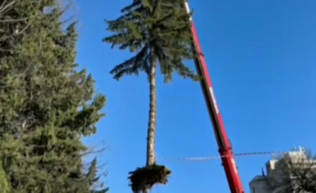 Бурен вятър в продължение на два дни причини големи щети
