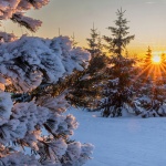 Валежите спират. След обяд - до слънчево