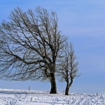 Вятърът се усилва утре, в четвъртък на много места ще вали сняг