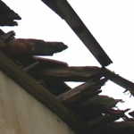 Отнесени покриви след торнадо в Ямболско