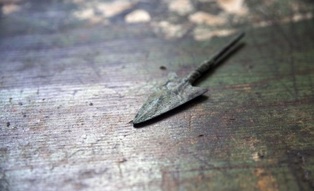 Откритие, което пренаписва историята: Най-старите отровни оръжия в света