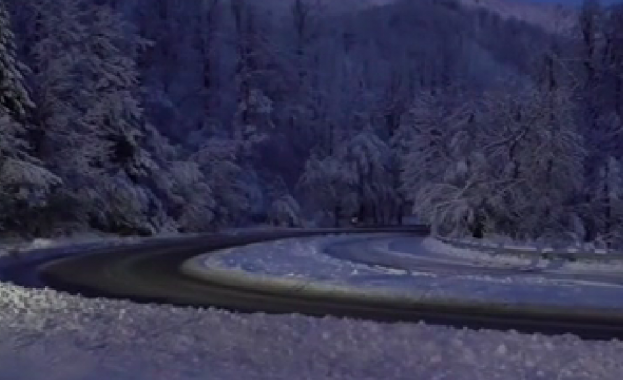 Паднало дърво и катастрофи в почивните дни затрудниха движението през