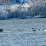 Баржа с над 1100 тона химически торове потъна в Дунав край Свищов