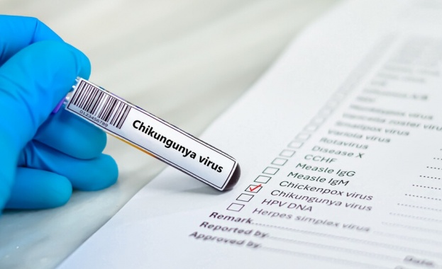 Вече е регистриран първият случай на треска чикунгуня в България