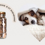 Дари ненужните си стотинки и спаси живот