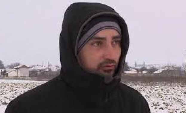 В покрайнините на Кнежа една нива изпълнена с качествена продукция