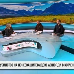 Отровените лешояди в Котленския балкан застрашават възстановяването на вида