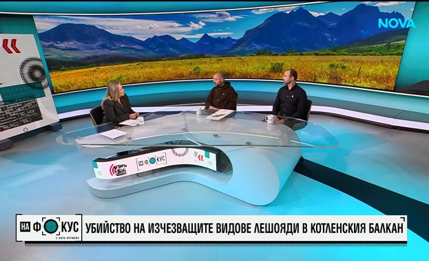 Нов случай на отровени лешояди в Котленския балкан Птиците които