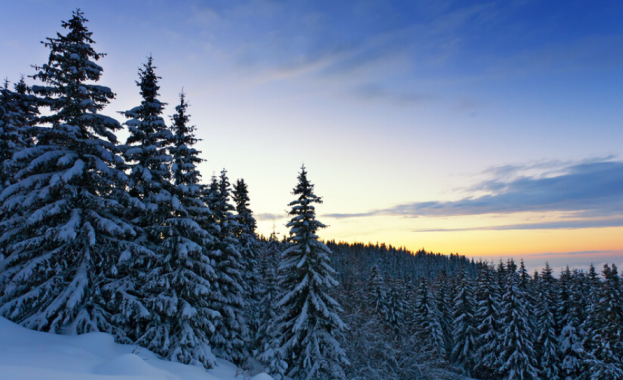 За пета поредна година шейни зоната до хижа Алеко на