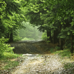 Най-големият урок в живота е...