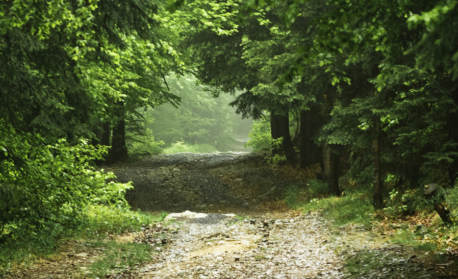 Най-големият урок в живота е...