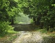 Най-големият урок в живота е...