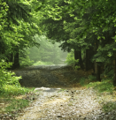 Не върви, където има пътека...