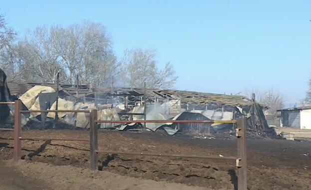 Пожар изпепели историческия комплекс Фанагория във варненския квартал Аспарухово Пострадали